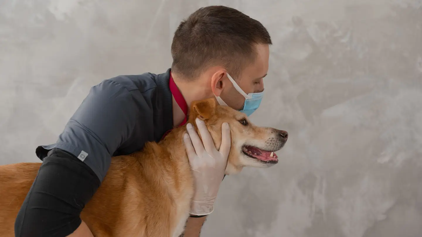 Veterinar nježno grli psa riđe dlake tokom pregleda