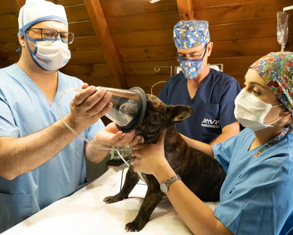 Hirurgija i sterilizacija